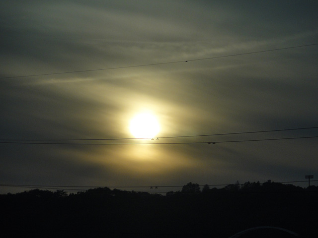 b0006870_15441971.jpg