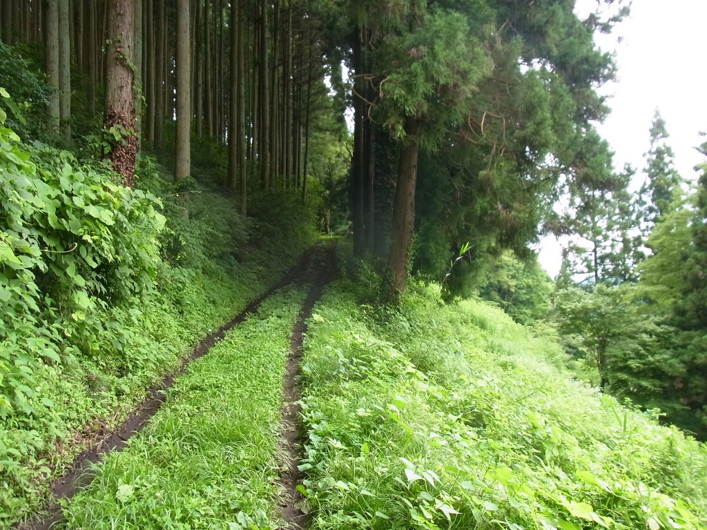 2014/07/21　奥久慈男体山　前編_d0233770_20561429.jpg