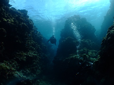 b0033573_18515954.jpg