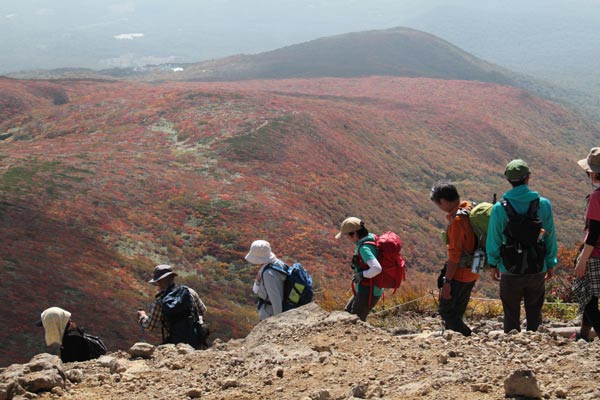 色付くお山は大賑わい_e0068873_2053375.jpg