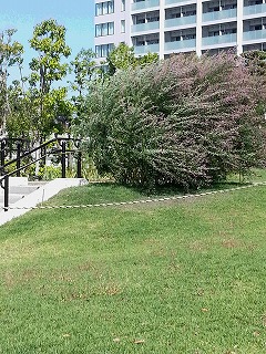c0189683_1353452.jpg