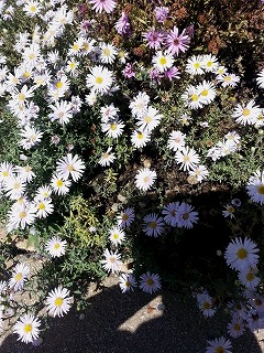 c0189683_13534691.jpg