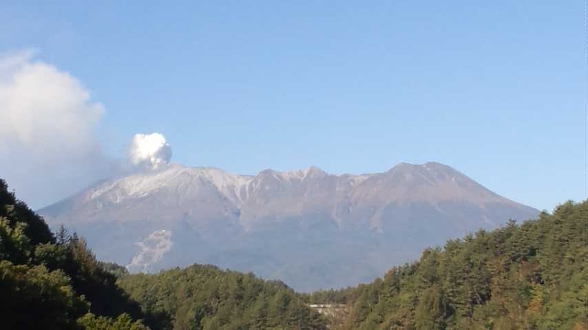 a0130586_943288.jpg