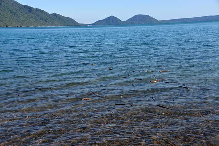 f0212586_7424562.jpg