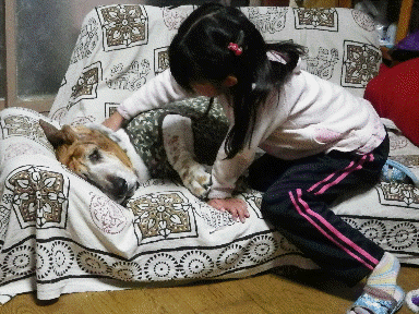 f0205887_1222161.gif