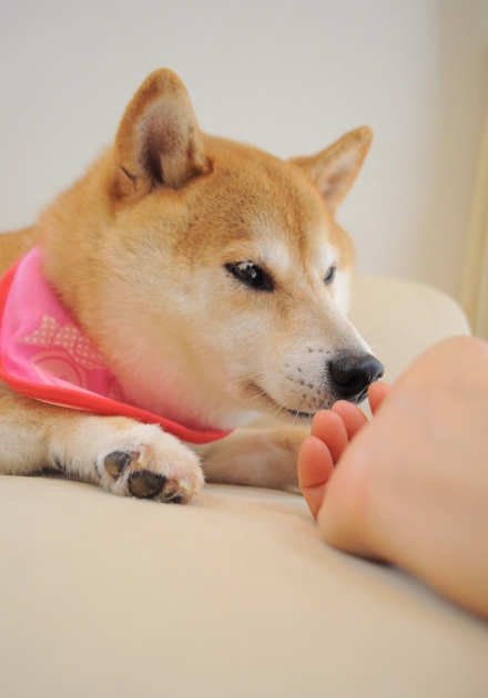 痛いの_a0126590_10342816.jpg