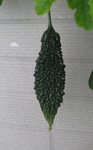 f0234590_10121059.png