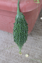 f0234590_10122879.png