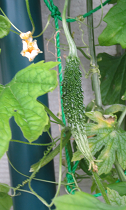 f0234590_10123771.png