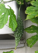 f0234590_1012690.png