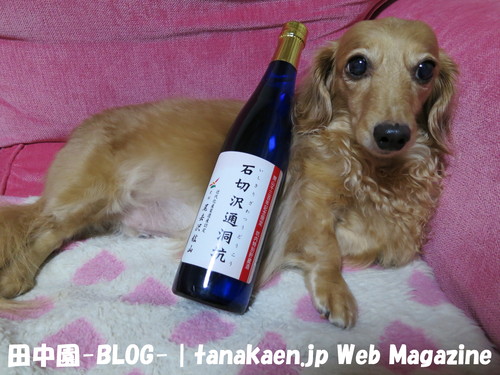 スケジュールがタイト過ぎる！_b0200291_2111645.jpg