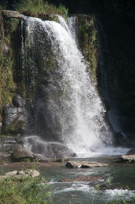 e0176993_539427.jpg