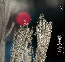 b0124999_1002427.png