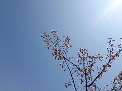 a0216805_8353497.jpg