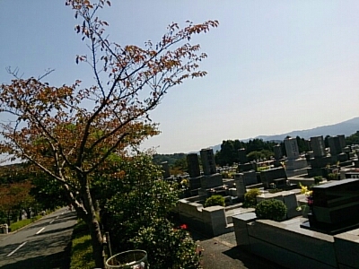 a0216805_8362357.jpg