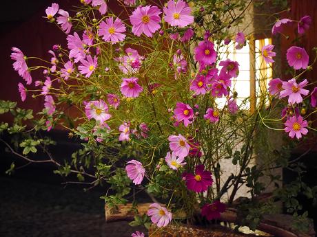 季節を感じるもてなしの花(加賀屋さん編2)_c0098807_20293864.jpg