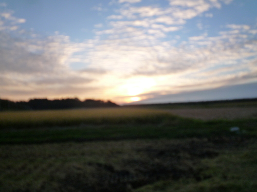 b0035611_22165634.jpg