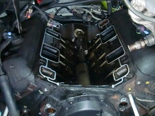 c0118011_161255.jpg