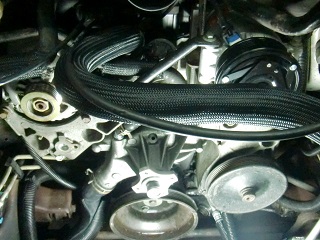 c0118011_16195751.jpg
