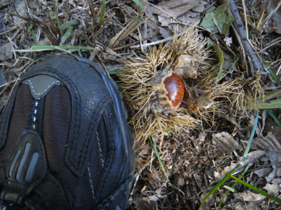 d0160611_1551820.png
