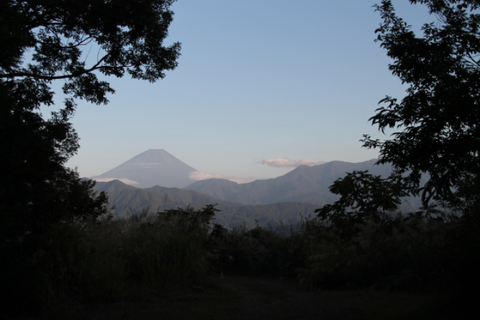 d0160611_16111491.png