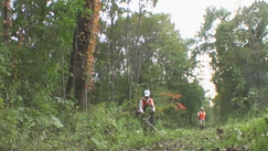 c0173813_2122441.png