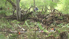 c0173813_21284189.png