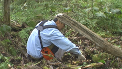 c0173813_21285355.png
