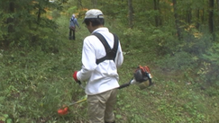 c0173813_2150411.png