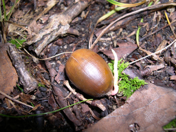 c0173813_22214379.png
