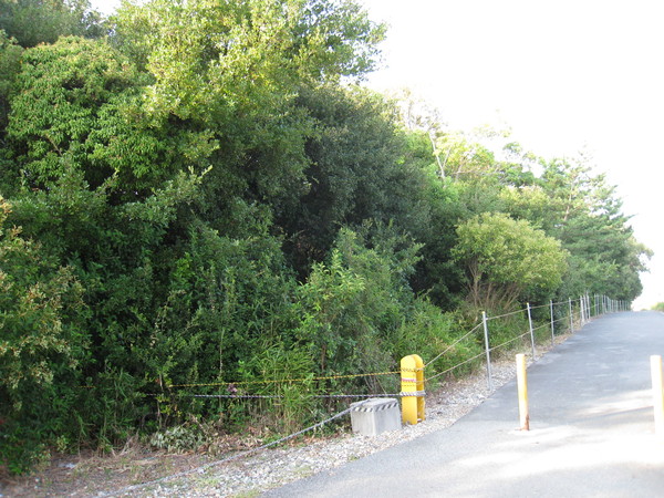 d0287413_23284039.jpg