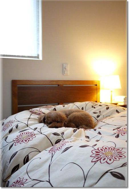My bed room_f0143227_1735488.jpg