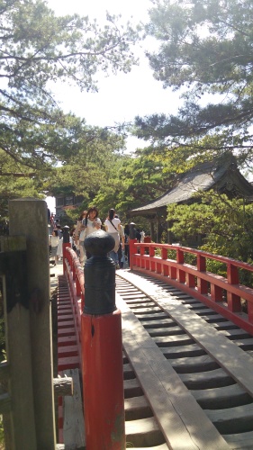 旅に出ます…探して下さい?_f0331129_18163337.jpg