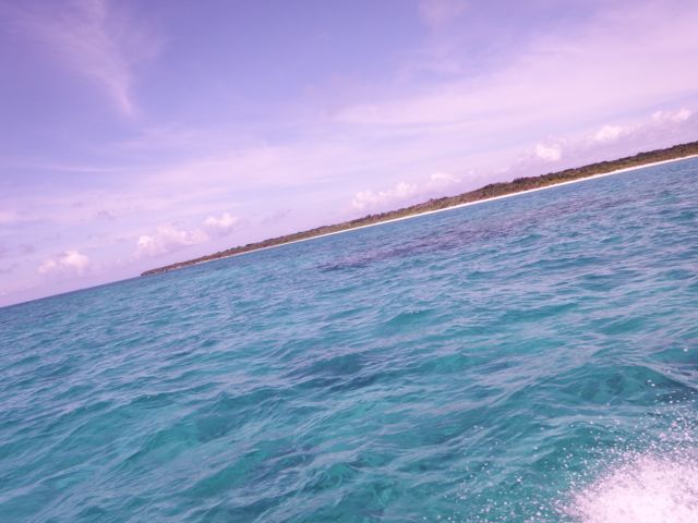 a0254130_1141636.jpg