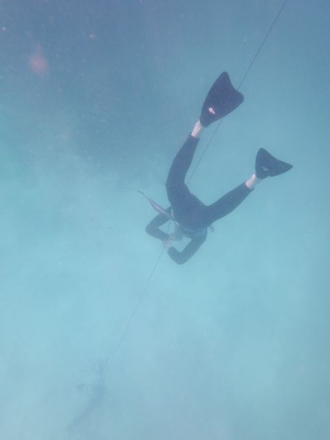 a0254130_11444580.jpg
