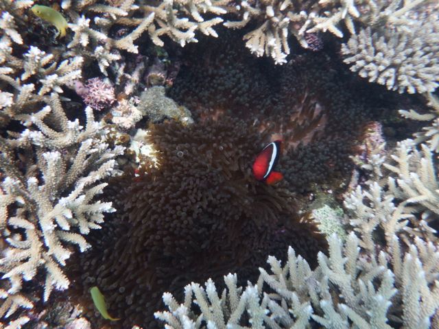 a0254130_11445226.jpg