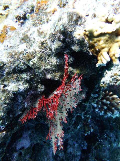 a0254130_11475995.jpg