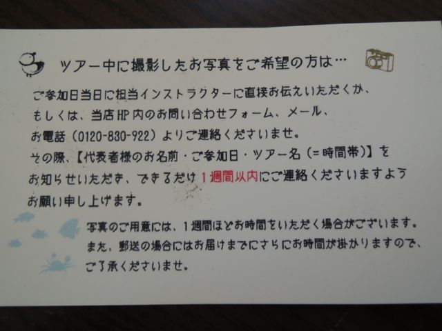 a0254130_1214275.jpg