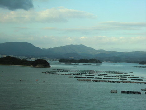 c0236632_8191510.jpg