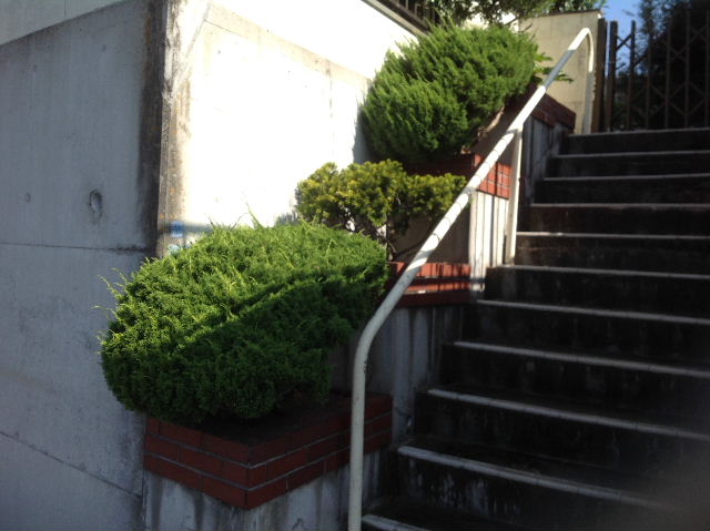 色々な仕事_f0031037_191489.jpg