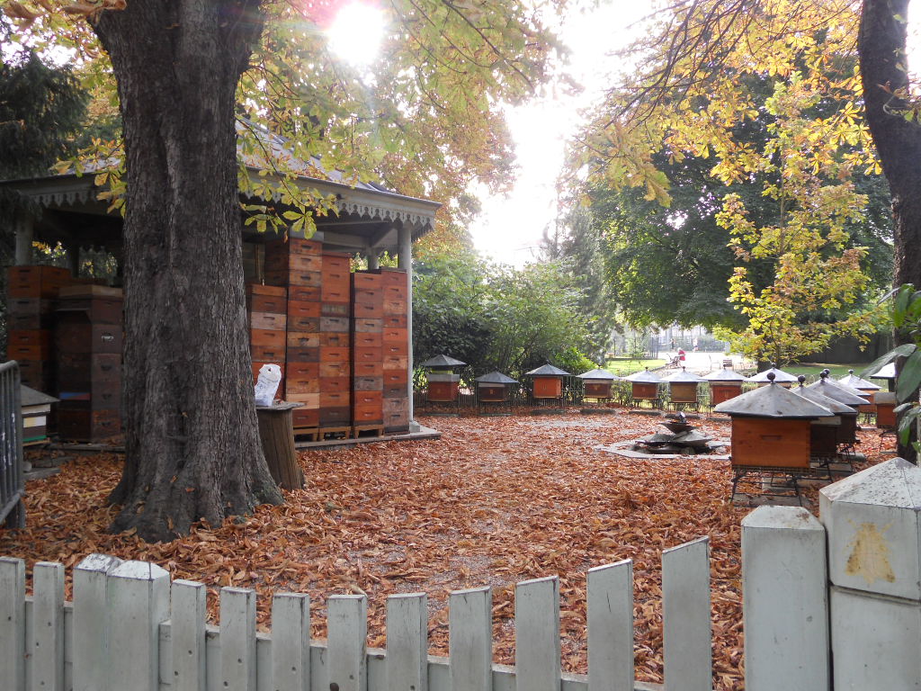 e0300042_4483281.jpg
