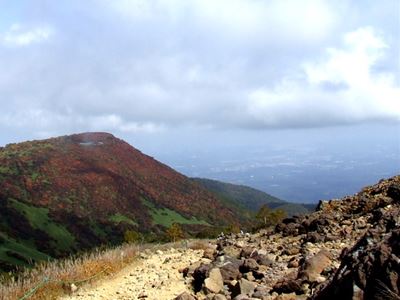 b0220251_65267.jpg