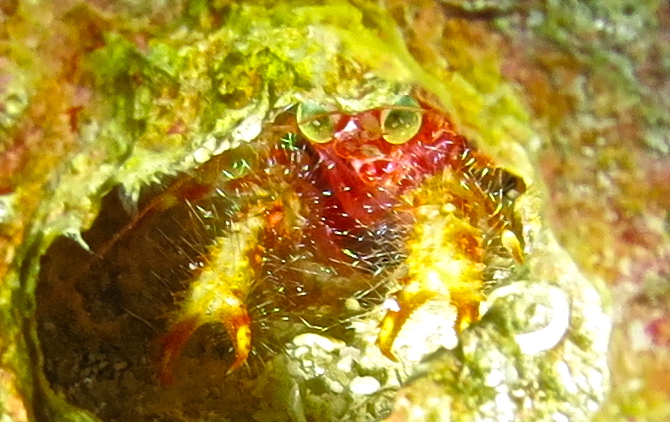 a0122752_1784071.jpg