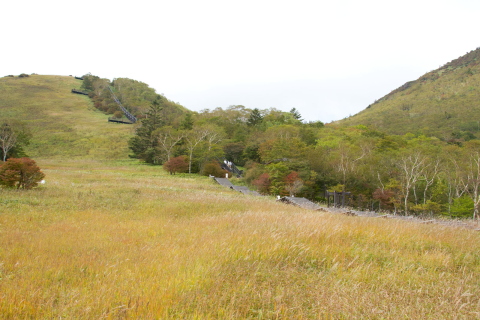 f0236653_993912.jpg