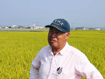 砂田米　砂田のれんげ米が今年も黄金色に色付きました！まもなく稲刈り!!新米のご予約受付スタート!!_a0254656_19131084.jpg