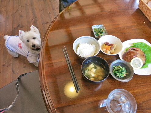 山形へ行こう!_c0260460_20110341.jpg