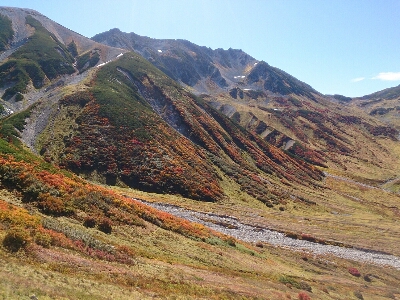 d0110562_14495238.jpg