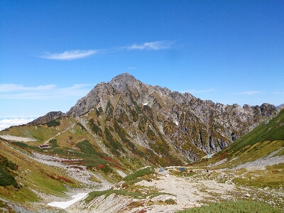 d0110562_1450345.jpg