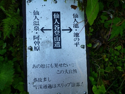 d0110562_1938670.jpg