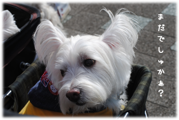 b0242873_14105539.png